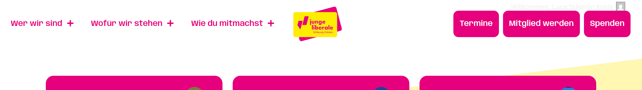 JuLis Schleswig-Holstein